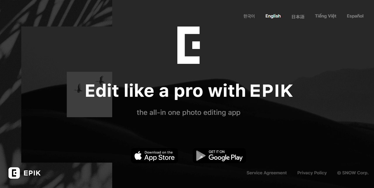 epik ai photo editor